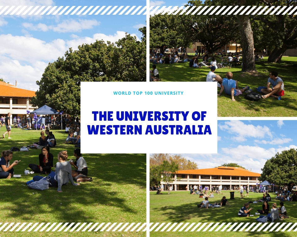 Study in australia